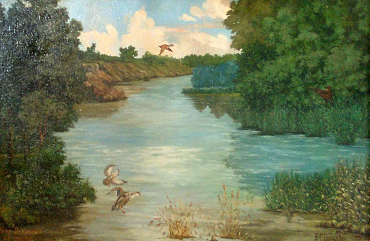 Утки на пруду