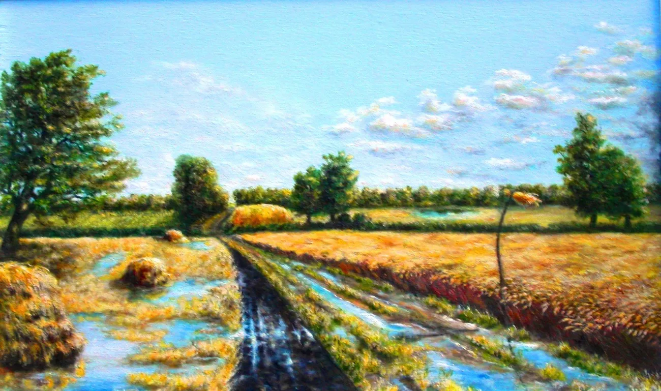 После дождя