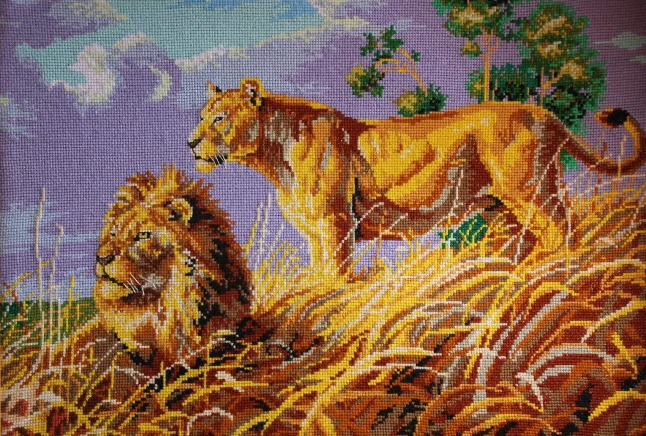 Картина Львы