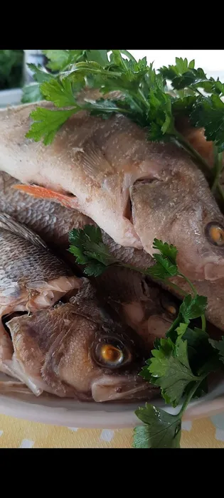 47268829-c11c-4d34-8e44-df99af62d76f