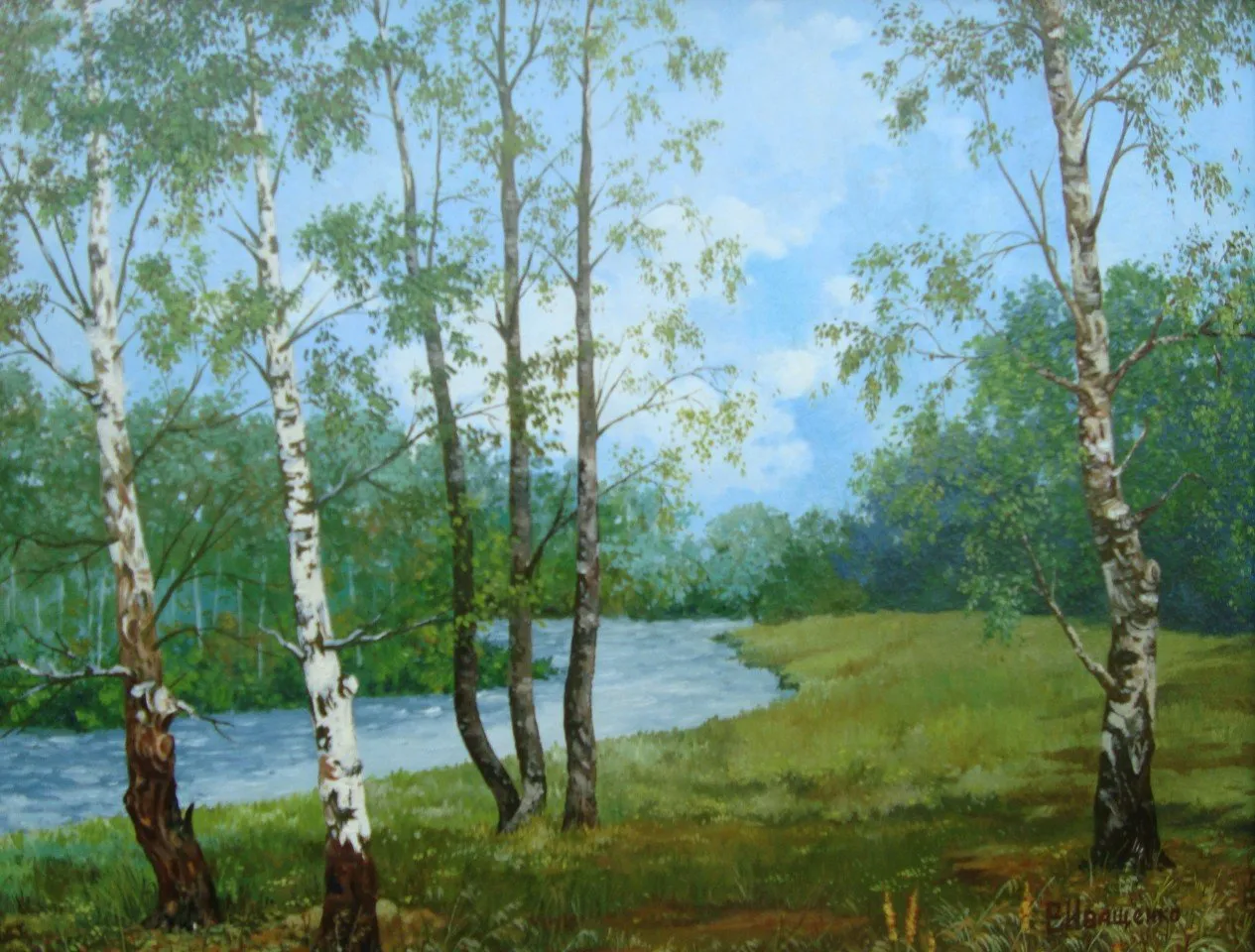 Березы Брянщины